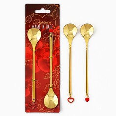 Подарочный набор ложек с подвесами Семейные традиции