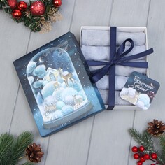 Набор махровых полотенец Этель