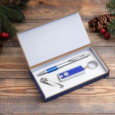 Набор подарочный 3в1 (ручка, кусачки, фонарик синий) NO Brand