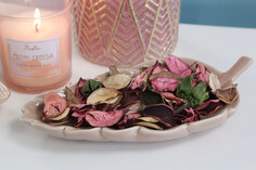 Набор сухоцветов из натуральных материалов ВеЩицы