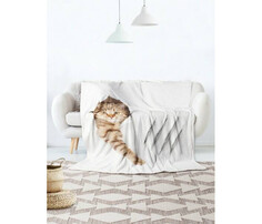 Пледы Плед JoyArty Мягкий плюшевый плед покрывало Кот с царапиной велсофт 150х200 см