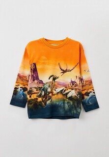 Лонгслив Molo Mountoo
