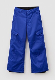Брюки сноубордические DC Shoes BANSHEE B