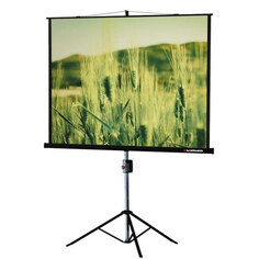 Напольный зкран Lumien Master View 220x220 см Matte White FiberGlass