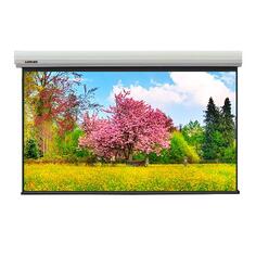 Моторизованные экраны Lumien [LMLC-100119] Master Large Control 518х900 см (раб. область 500х890 см) (385") Matte White