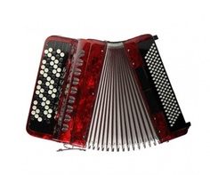 Аккордеоны Aurus JH5096-R 70/96/7/2