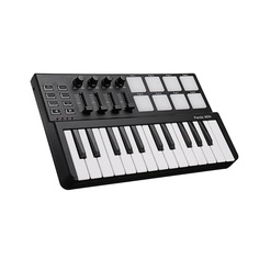 MIDI клавиатуры / MIDI контроллеры L Audio PandaminiC