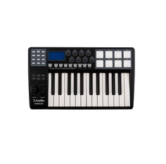 MIDI клавиатуры / MIDI контроллеры L Audio Panda-25C