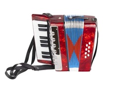 Аккордеоны Aurus UC104-R