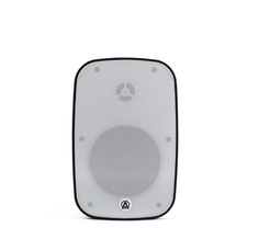 Динамики подвесные AuraSonics DENSE-5T-WH