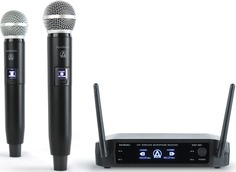Радиосистемы с ручным микрофоном AuraSonics DUET 20S1