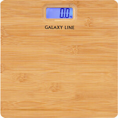 Весы GALAXY LINE GL4820