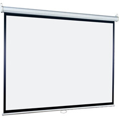 Экран для проектора Lumien Eco Picture LEP-100107 (153x153 / 1\1 / настенно-потолочный / matte white)