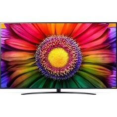 Телевизор LG 65UR81006LJ