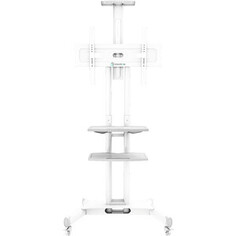 Подставка для телевизора Onkron TS1552 белый 40-70 макс. 60.5кг напольный мобильный