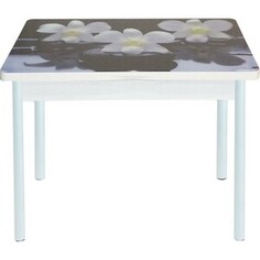 Стол обеденный Катрин Симпл поворотно раскладной, с фотопечатью, бетон белый, орхидея на черных камнях, опора круглая муар белый Katrin