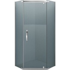 Душевой уголок Alex Baitler 100x100 тонированный, хром (AB 245-100)