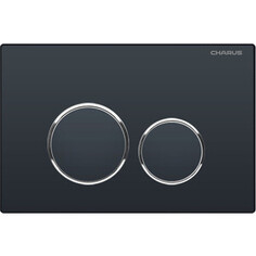 Кнопка смыва Charus Spazio черная матовая (FP.330.DW.01)