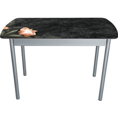 Стол раздвижной Алдио А 005 120х70 (подстолье металлик) Aldio