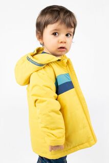 Демисезонная куртка Coccodrillo желтый с капюшоном