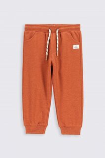 Тренировочные брюки Coccodrillo оранжевый с принтом и принтом плюшевого мишки ОБЫЧНОЙ огранки