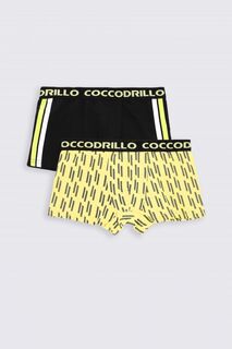 Трусы для мальчиков Coccodrillo разноцветные 2 пачки