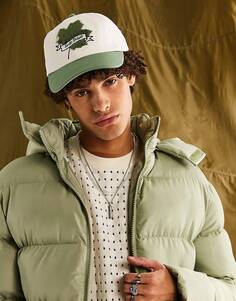 Мягкая хлопковая кепка ASOS DESIGN с вышивкой в ​​виде кленового листа цвета экрю и выбеленного зеленого цвета