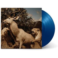 CD диск Our Love To Admire (2 Discs) (Limited Edition) (Blue Colored Vinyl) | Interpol Pro Ject Audio Systems