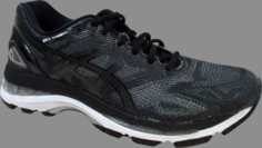 Кроссовки wmns gel nimbus 19 &apos;black onyx&apos; Asics, черный