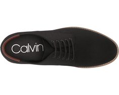Оксфорды Adeso 2 Calvin Klein, черный