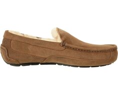 Слипперы Ascot UGG, каштан