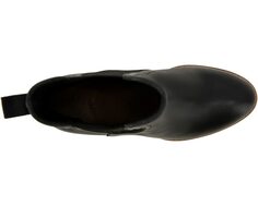 Ботинки Wynn Splendid, черный