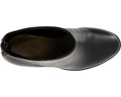 Ботинки Magnolia Splendid, черный