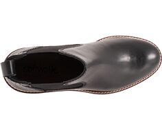 Ботинки Indy SoftWalk, черный