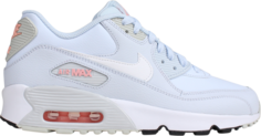 Кроссовки Nike Air Max 90 Leather GS &apos;Half Blue&apos;, синий