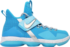 Кроссовки Nike LeBron 14 GS &apos;The Nature Boy&apos;, синий
