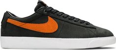 Кроссовки Nike Cat&apos;s Paw Saloon x Zoom Blazer SB GT &apos;Cat&apos;s Paw&apos;, оранжевый