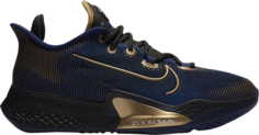 Кроссовки Nike Air Zoom BB NXT EP &apos;Blue Void Gold&apos;, синий