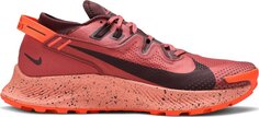 Кроссовки Nike Pegasus Trail 2 &apos;Canyon Rust&apos;, оранжевый