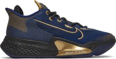 Кроссовки Nike Air Zoom BB NXT &apos;Blue Metallic Gold&apos;, синий
