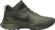 Ботинки Nike React SFB Carbon Mid &apos;Cargo Khaki&apos;, зеленый