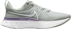 Кроссовки Nike Wmns React Infinity Run Flyknit 2 &apos;Light Silver Lilac&apos;, серый