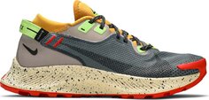 Кроссовки Nike Pegasus Trail 2 GTX &apos;Smoke Grey Bucktan&apos;, серый