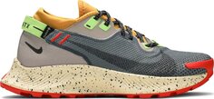 Кроссовки Nike Wmns Pegasus Trail 2 GTX &apos;Smoke Grey Bucktan&apos;, серый