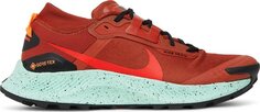 Кроссовки Nike Pegasus Trail 3 GTX &apos;Rugged Orange&apos;, оранжевый