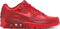 Кроссовки Nike Air Max 90 GS &apos;City Special - Chicago&apos;, красный