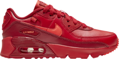 Кроссовки Nike Air Max 90 PS &apos;City Special - Chicago&apos;, красный