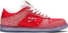 Кроссовки Nike Stingwater x Dunk Low SB &apos;Magic Mushroom&apos;, красный