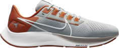 Кроссовки Nike Air Zoom Pegasus 38 &apos;Texas&apos;, серый