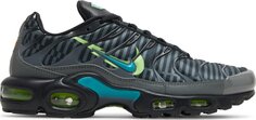 Кроссовки Nike Air Max Plus &apos;Champions League&apos;, серый